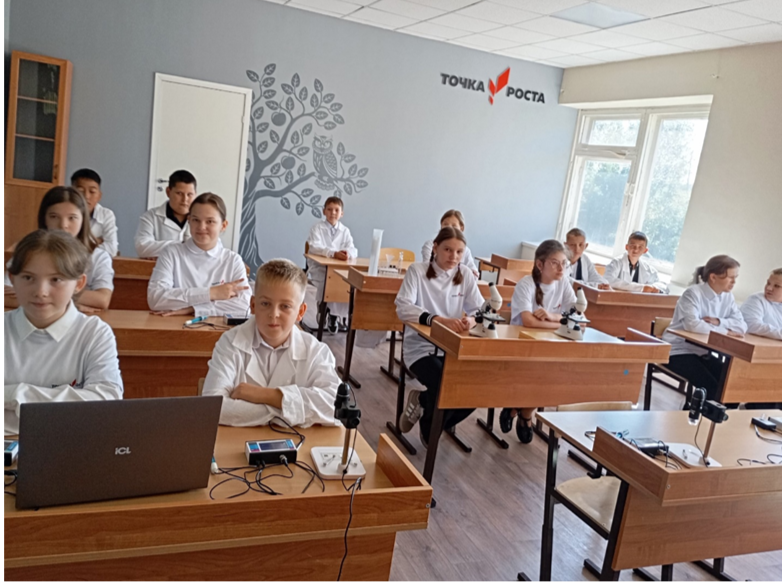 Практическая работа по биологии.
